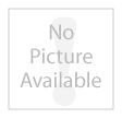 IBM x3550 M4 plus 4x 2.5 Inches HDD Assembly Kit 81Y6657