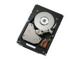 IBM 900GB 2.5-Inch Internal Hard Drive (81Y9915)