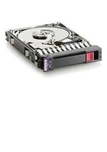 300GB 10K Sas 2.5 Dp HDD