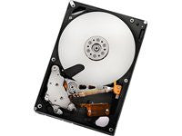 HGST Ultrastar A7K2000 HUA722010CLA330 1 TB 3.5