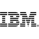 IBM 600 GB 2.5-Inch Internal Hard Drive 81Y9596