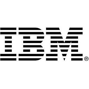 IBM 600 GB 2.5-Inch Internal Hard Drive 81Y9596