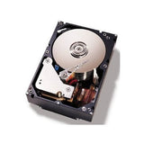 IBM 1TB 3.5-Inch Internal Hard Drive (81Y9790)