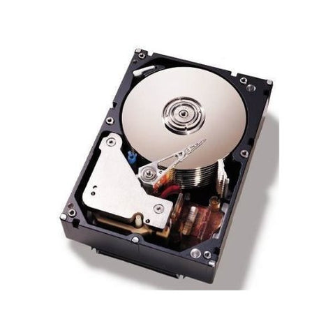 IBM 1TB 3.5-Inch Internal Hard Drive (81Y9790)