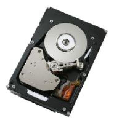 IBM 300 GB Internal Hard Drive 49Y1856